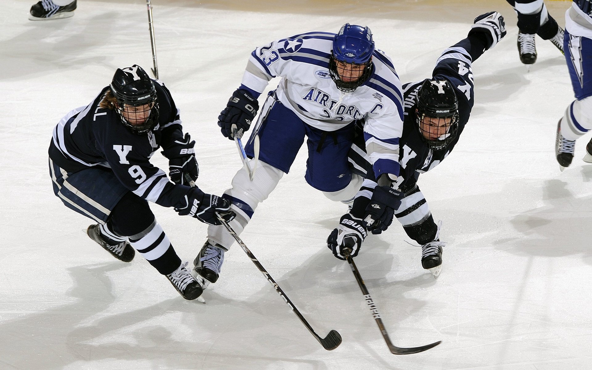 切尔西主场氛围热烈，球迷助威震场，切尔西足球队比赛