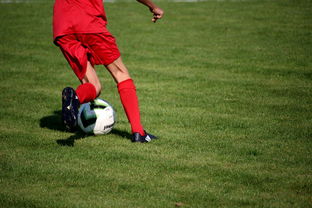 九游游戏中心-CBA球队加强后勤保障体系优化训练和比赛准备，cba后备联赛